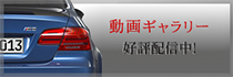 動画ギャラリー
